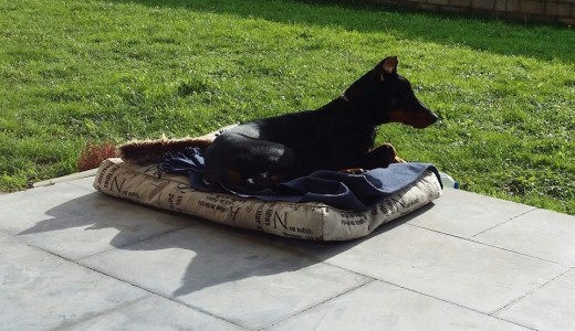 TOMANDO EL SOL , PERO SIEMPRE ALERTA